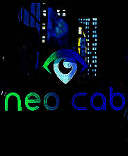 《霓虹下的出租车》简体中文免安装版