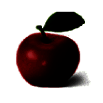 广州中越工程项目管理系统v1.0