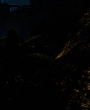 《无人之境》中文硬盘版