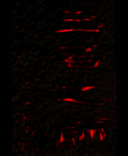 《七英雄外传：王者之师》 繁体中文免安装版