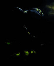 《魔戒：最后之日》v3.01不完全汉化硬盘版