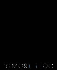 《蒂莫雷多》英文免安装版