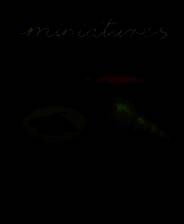 《轻物心语》Demo试玩版