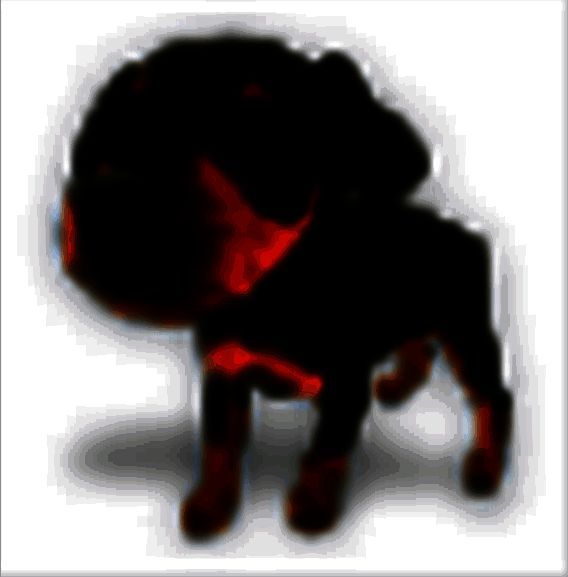 我的ABC软件工具箱v6.11.0