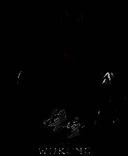 《黑神话：悟空》扮演死或生6不知火舞MOD