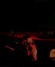 《黑暗未来：血腥国度》英文免安装版