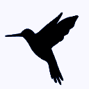 蓝鸟抓包 高级版官方版 V3.3.6