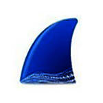 Wireshark官方中文版