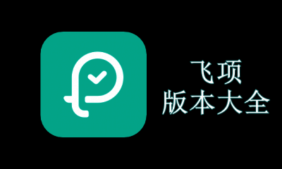 飞项版本大全