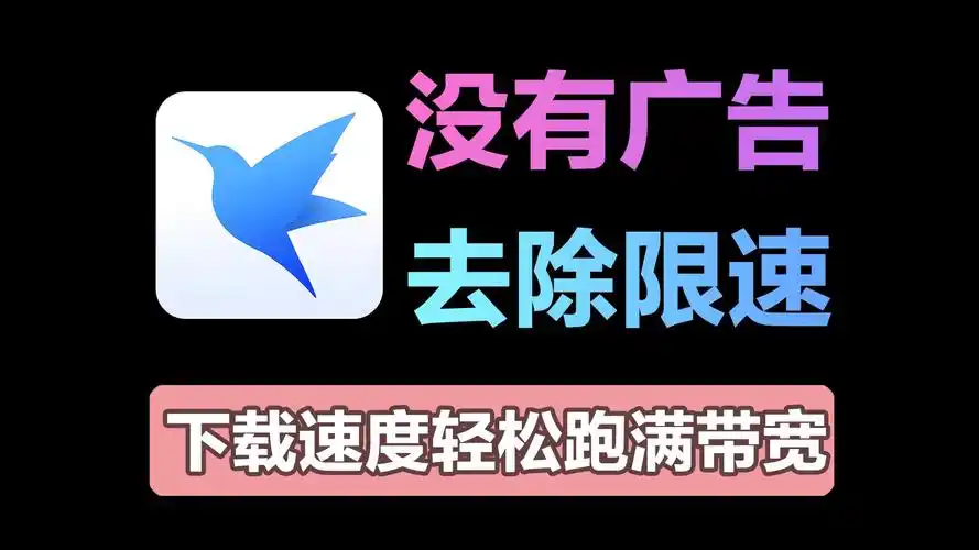 迅雷电脑版本合集