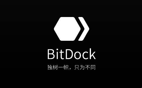 BitDock软件版本大全
