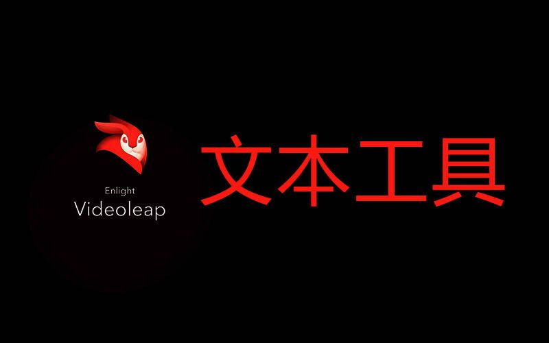 videoleap手机版本集合
