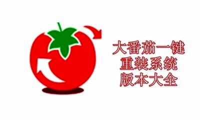 大番茄一键重装系统版本大全