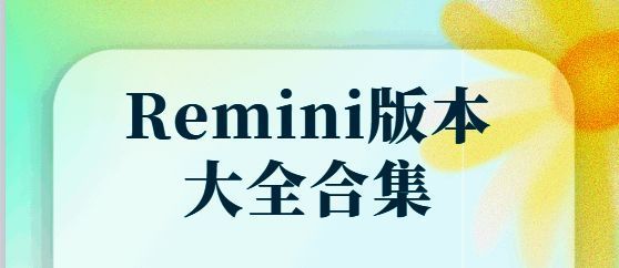 Remini版本大全合集